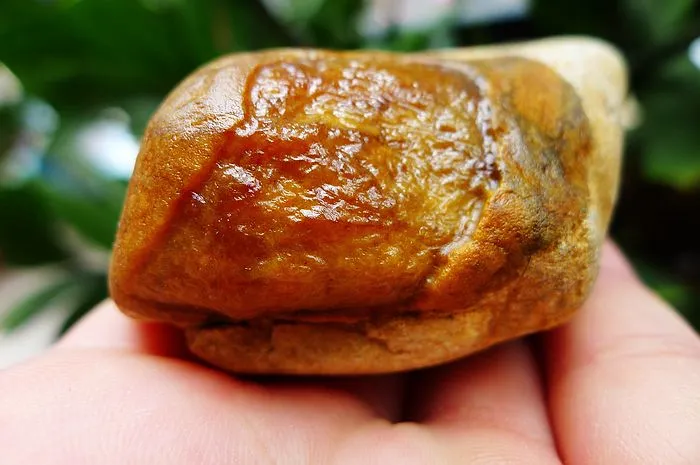 Natural Jade Rough Jadeite Raw (185g,7.6X4.6X4.1cm)