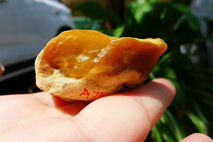 Natural Jade Rough Jadeite Raw (60g,4.8X3.3X2.1cm)
